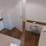 Pitentino Quattro *