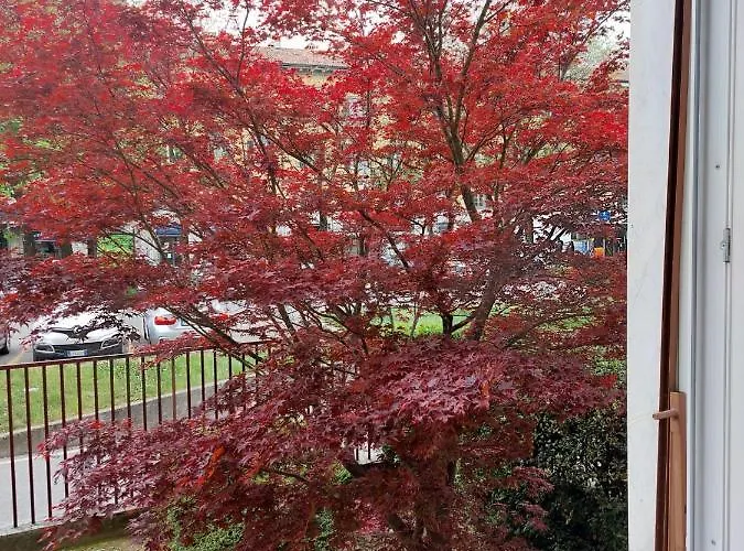 Apartment Pitentino Quattro